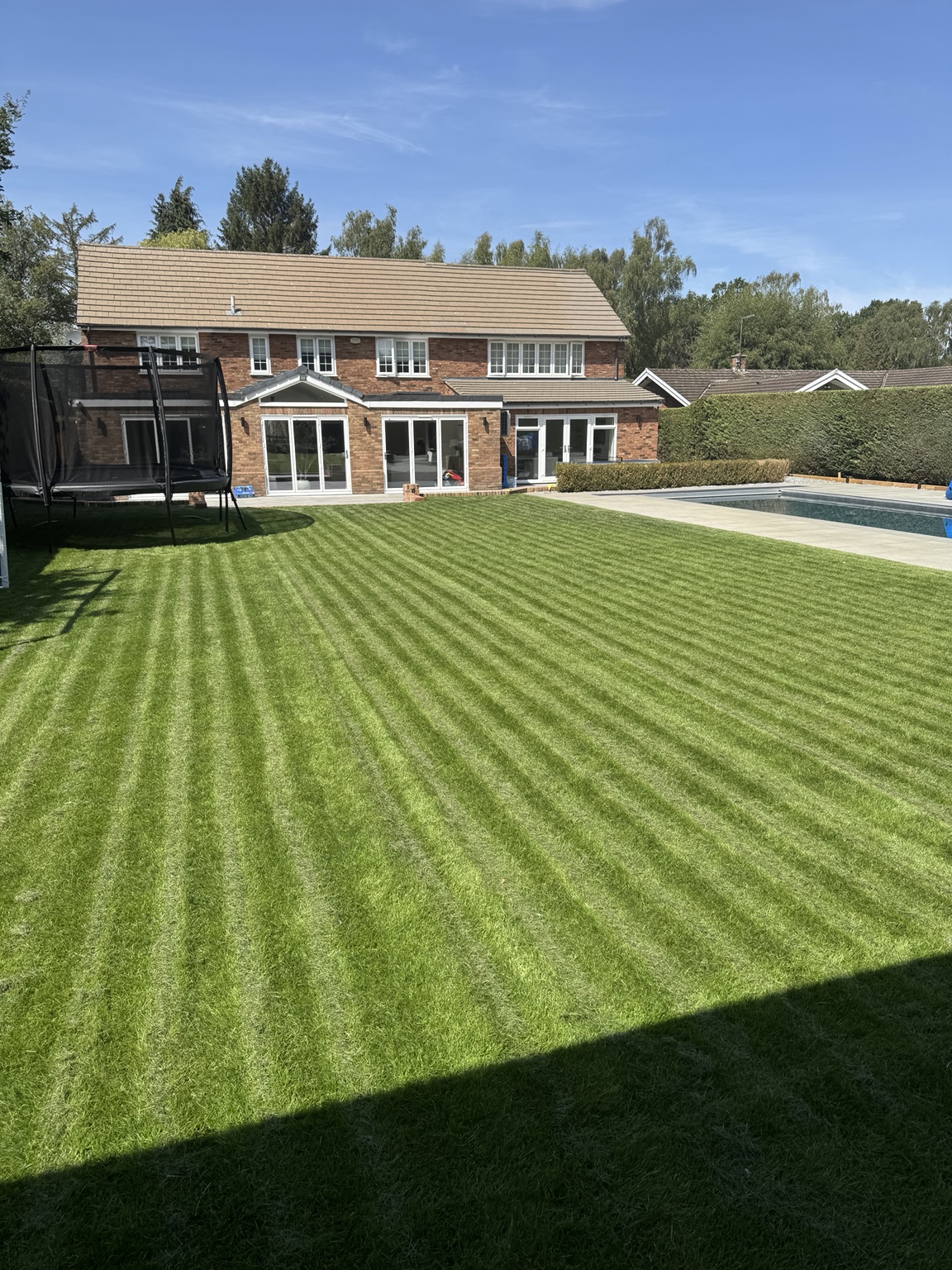 Finished lawn looking back towards the house